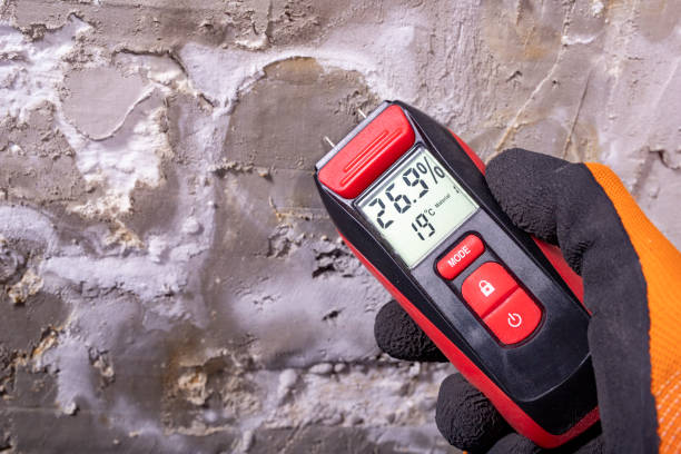 Best Residential Mold Remediation in Lincolnton, GA
