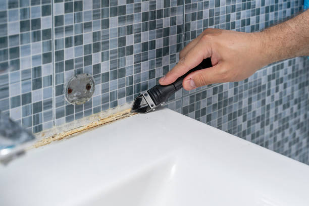 Best DIY Mold Remediation Support Services in Lincolnton, GA